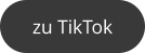 zu TikTok